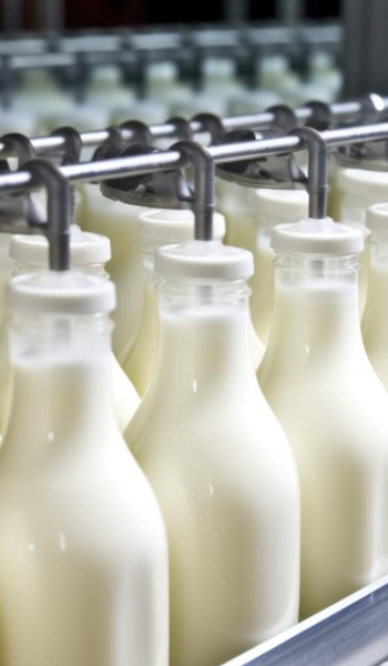 Dairy Industry